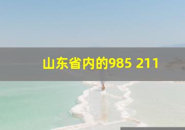 山东省内的985 211